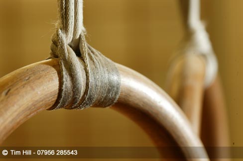 Image (c)  Tim Hill - 07956 285543